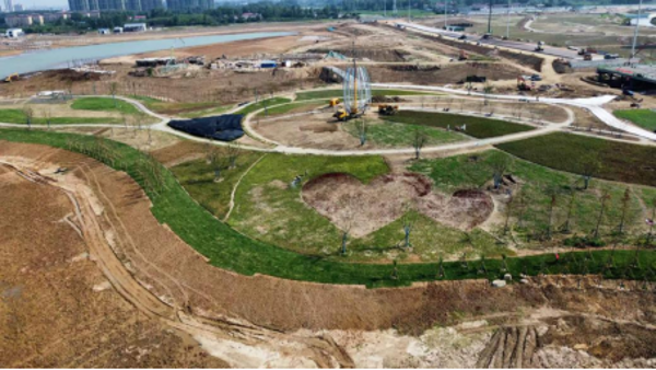 污泥制營(yíng)養(yǎng)土園林利用關(guān)鍵技術(shù)